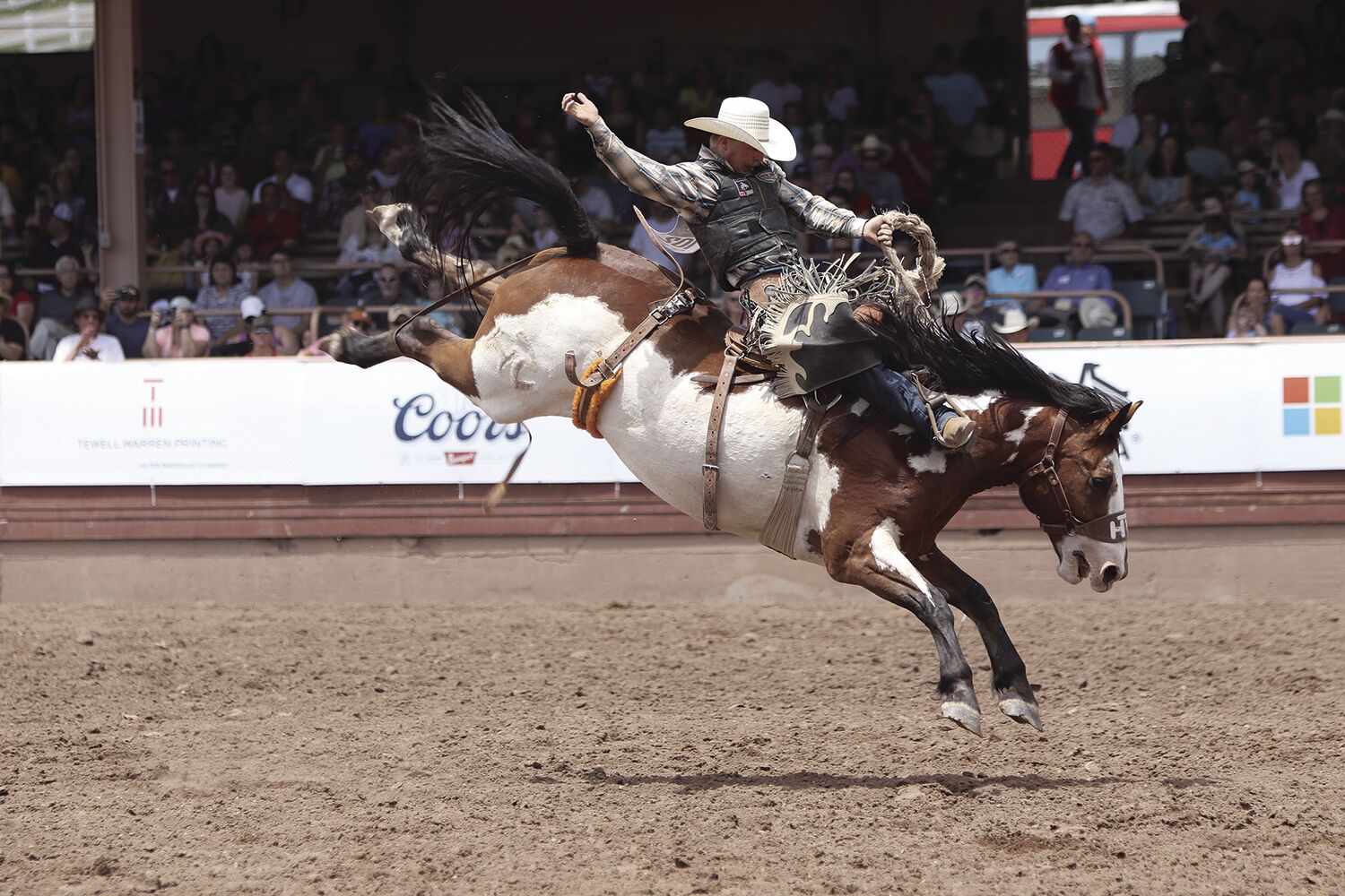 bucking bronco
